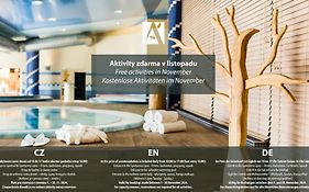 Amenity Hotel Lipno